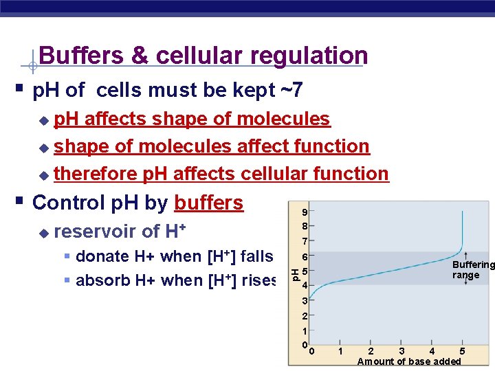 Buffers & cellular regulation § p. H of cells must be kept ~7 p.