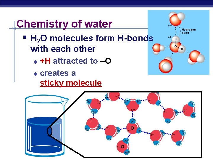 Chemistry of water § H 2 O molecules form H-bonds with each other +H