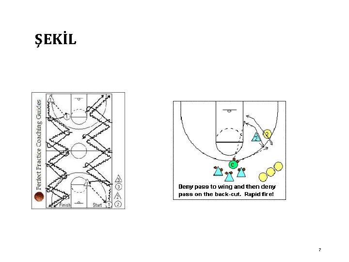 ŞEKİL 7 