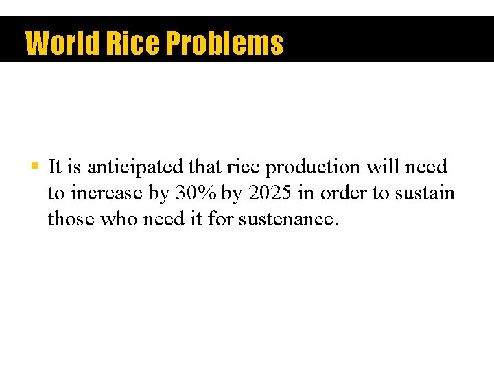 World Rice Problems § It is anticipated that rice production will need to increase