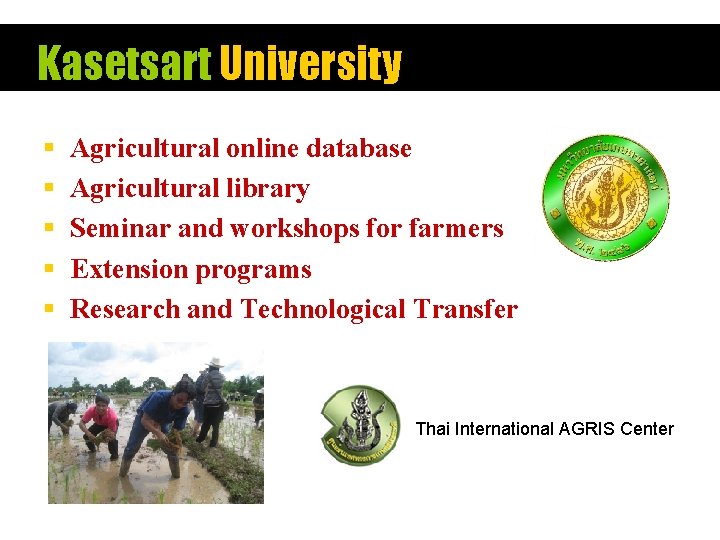 Kasetsart University § § § Agricultural online database Agricultural library Seminar and workshops for