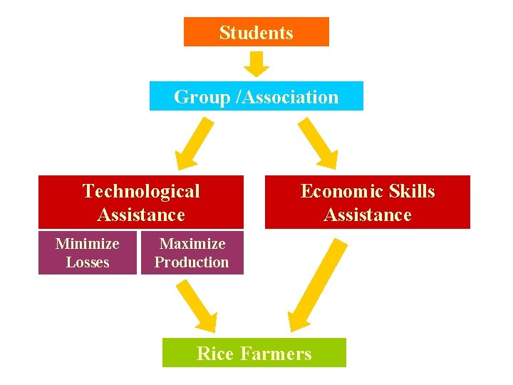 Students Group /Association Technological Assistance Minimize Losses Economic Skills Assistance Maximize Production Rice Farmers