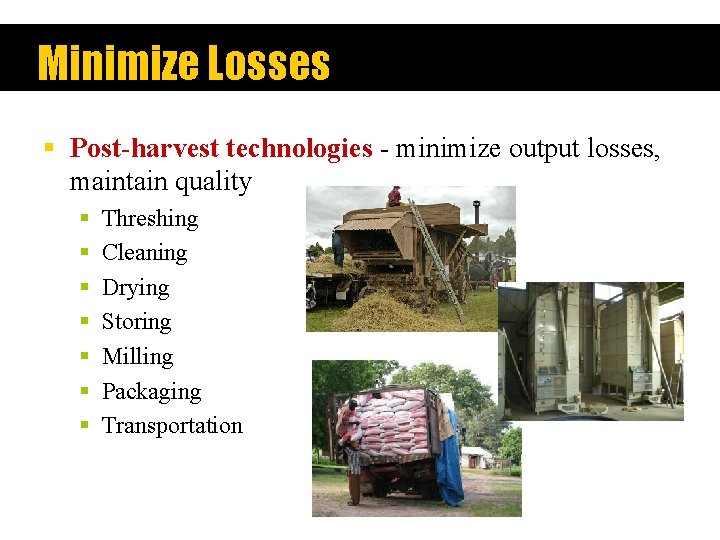 Minimize Losses § Post-harvest technologies - minimize output losses, maintain quality § § §