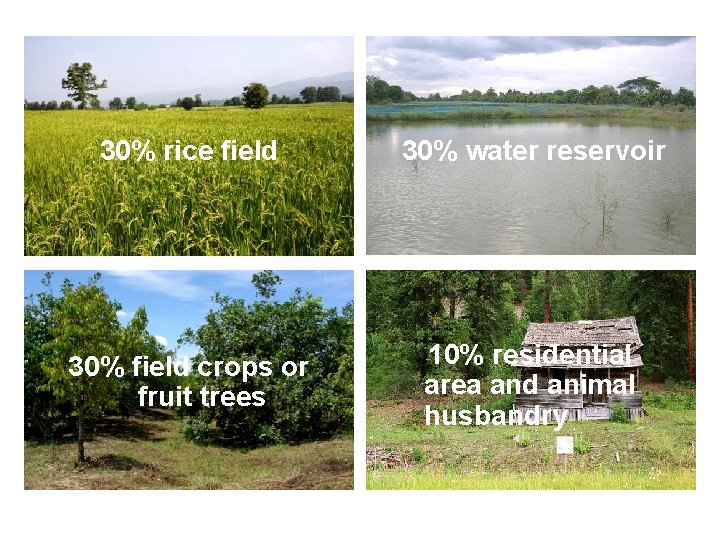 30% rice field 30% water reservoir 30% field crops or fruit trees 10% residential