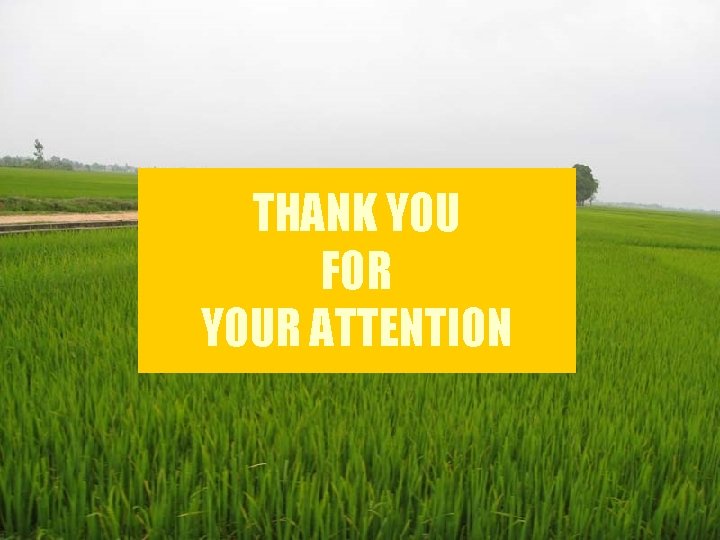 THANK YOU FOR YOUR ATTENTION 