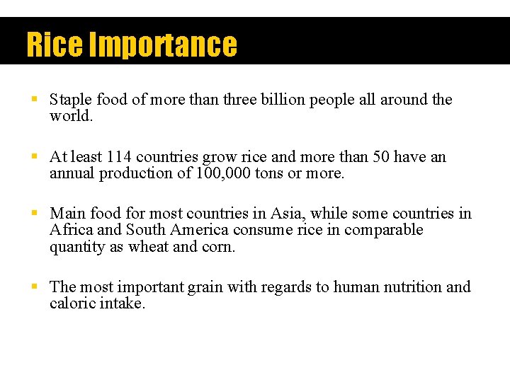 Rice Importance § Staple food of more than three billion people all around the