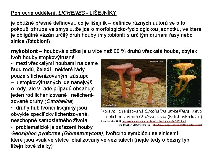 Pomocné oddělení: LICHENES - LIŠEJNÍKY je obtížné přesně definovat, co je lišejník – definice