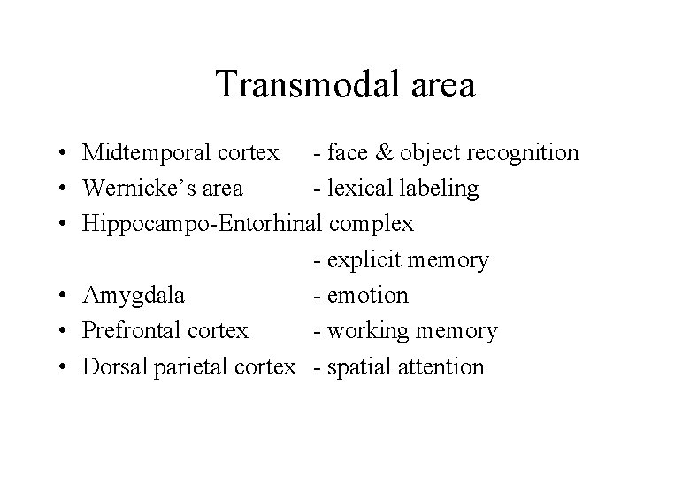 Transmodal area • Midtemporal cortex - face & object recognition • Wernicke’s area -
