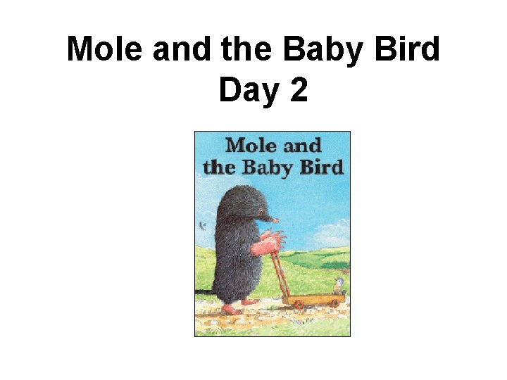 Mole and the Baby Bird Day 2 