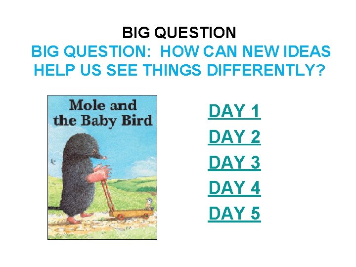 BIG QUESTION: HOW CAN NEW IDEAS HELP US SEE THINGS DIFFERENTLY? DAY 1 DAY