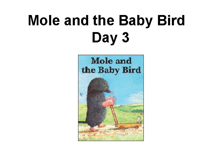 Mole and the Baby Bird Day 3 