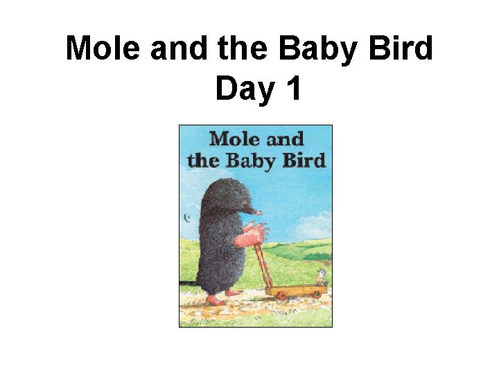 Mole and the Baby Bird Day 1 