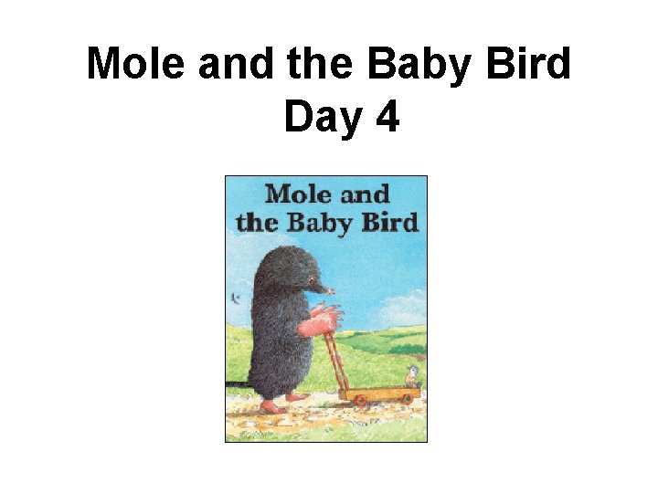 Mole and the Baby Bird Day 4 