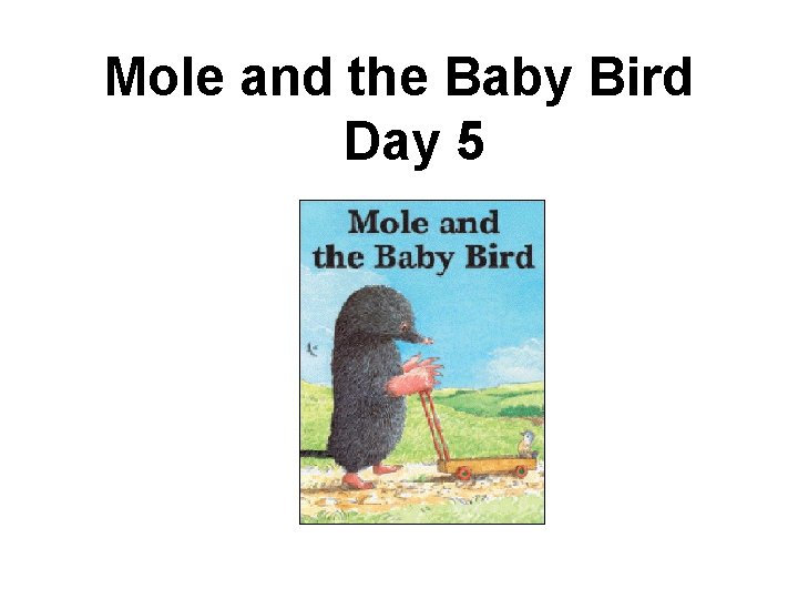 Mole and the Baby Bird Day 5 