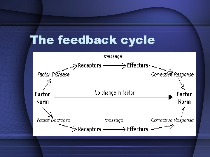 The feedback cycle 