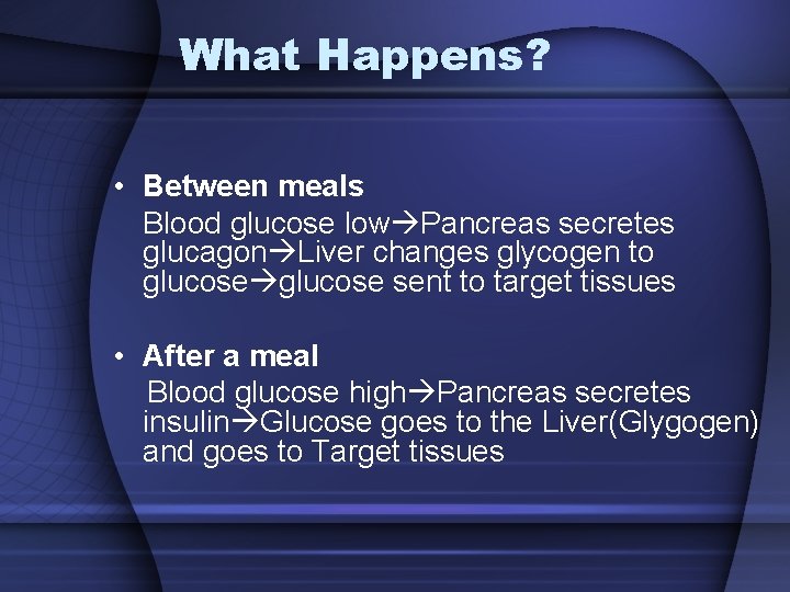 What Happens? • Between meals Blood glucose low Pancreas secretes glucagon Liver changes glycogen