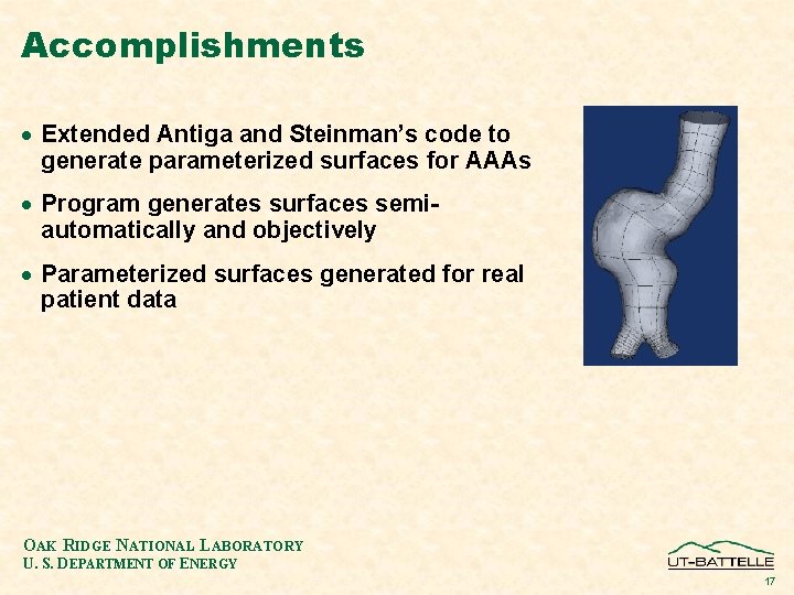 Accomplishments · Extended Antiga and Steinman’s code to generate parameterized surfaces for AAAs ·