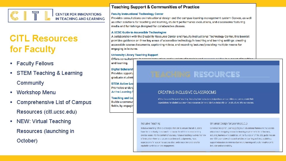 CITL Resources for Faculty § Faculty Fellows § STEM Teaching & Learning Community §