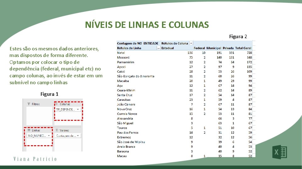 NÍVEIS DE LINHAS E COLUNAS Figura 2 Estes são os mesmos dados anteriores, mas