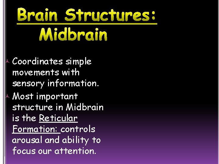  Coordinates simple movements with sensory information. Most important structure in Midbrain is the