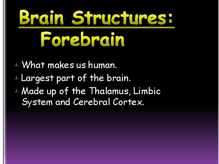  What makes us human. Largest part of the brain. Made up of the