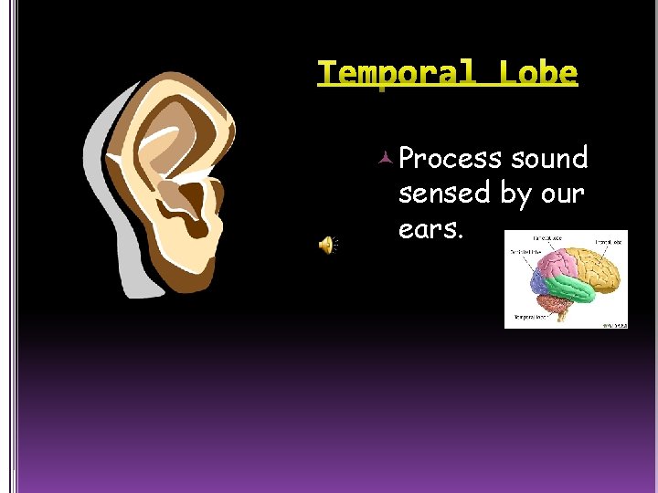  Process sound sensed by our ears. 