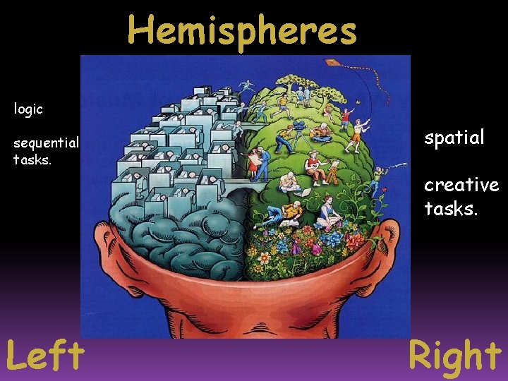 Hemispheres logic sequential tasks. spatial creative tasks. Left Right 
