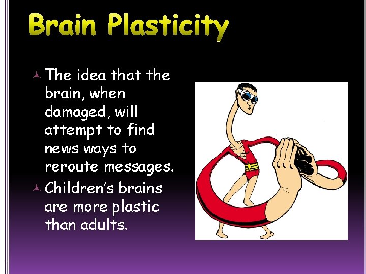  The idea that the brain, when damaged, will attempt to find news ways