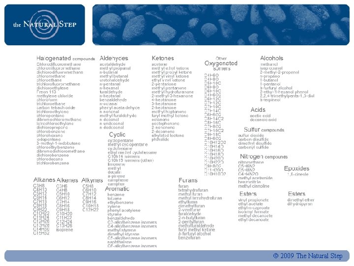  2009 The Natural Step 