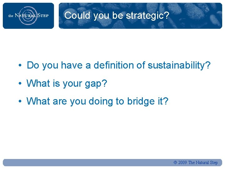 Could you be strategic? • Do you have a definition of sustainability? • What