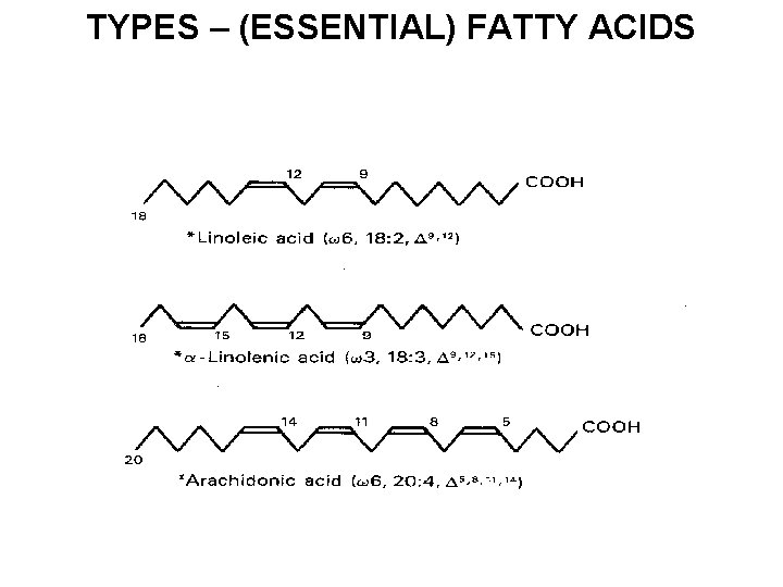 TYPES – (ESSENTIAL) FATTY ACIDS 