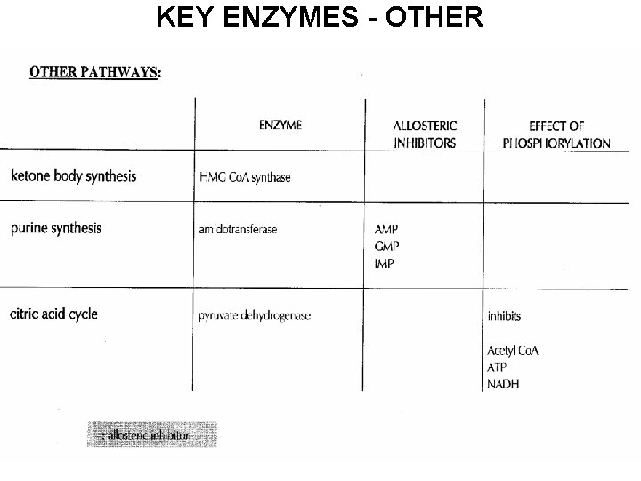 KEY ENZYMES - OTHER 