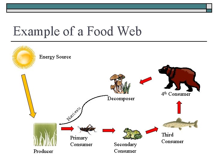 Example of a Food Web Energy Source N ut rie nt s Decomposer 4