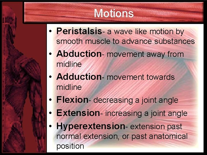 Motions • Peristalsis- a wave like motion by smooth muscle to advance substances •