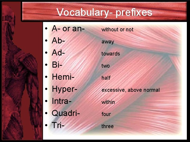 Vocabulary- prefixes • • • A- or an. Ab. Ad. Bi. Hemi. Hyper. Intra.