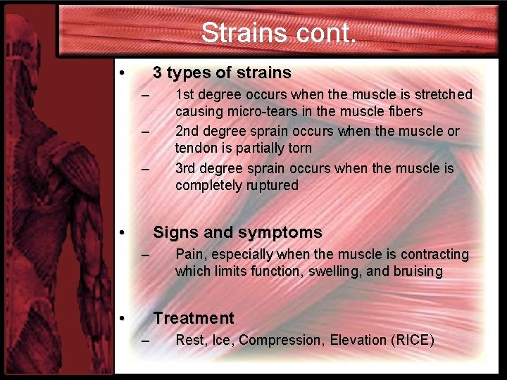 Strains cont. • 3 types of strains – – – • 1 st degree