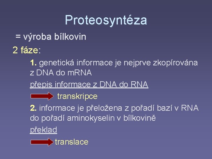 Proteosyntéza = výroba bílkovin 2 fáze: 1. genetická informace je nejprve zkopírována z DNA