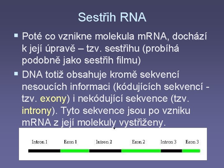Sestřih RNA § Poté co vznikne molekula m. RNA, dochází k její úpravě –