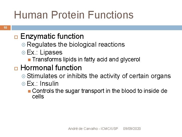 Human Protein Functions 10 Enzymatic function Regulates the biological reactions Ex. : Lipases Transforms