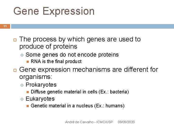 Gene Expression 11 The process by which genes are used to produce of proteins