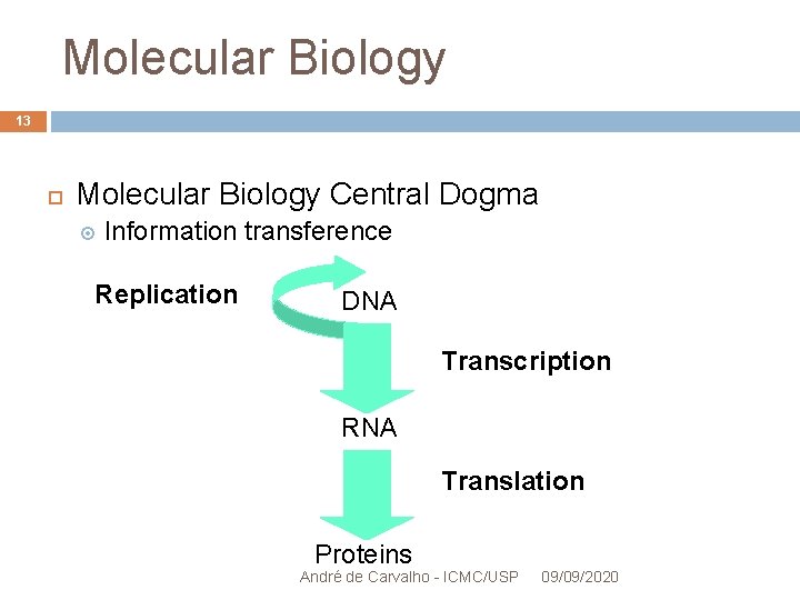 Molecular Biology 13 Molecular Biology Central Dogma Information transference Replication DNA Transcription RNA Translation