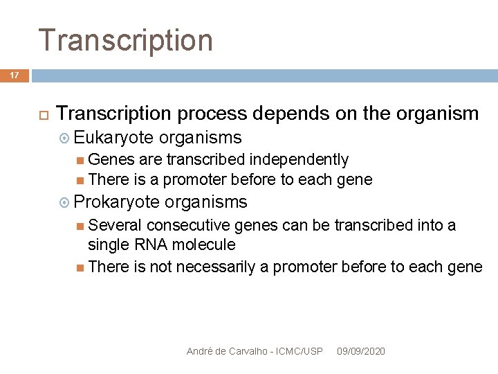 Transcription 17 Transcription process depends on the organism Eukaryote organisms Genes are transcribed independently