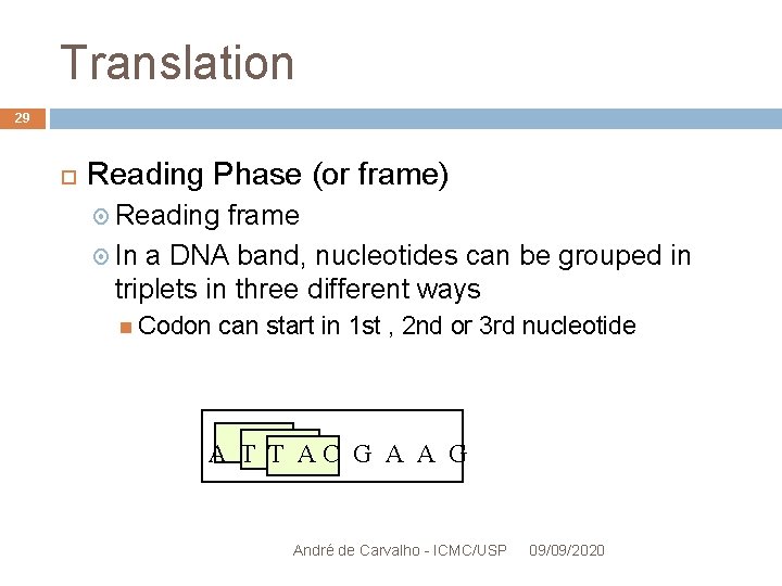 Translation 29 Reading Phase (or frame) Reading frame In a DNA band, nucleotides can