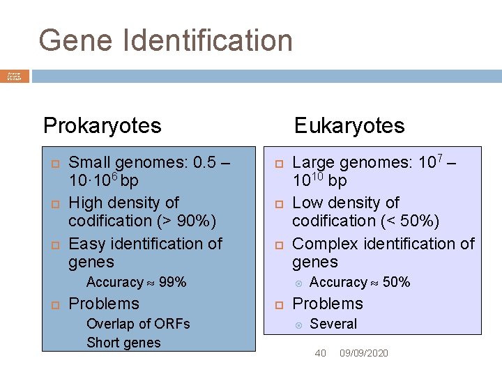 Gene Identification André de Carvalho ICMC/USP Prokaryotes Small genomes: 0. 5 – 10· 106