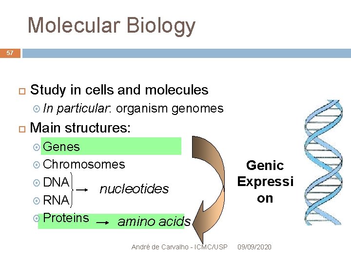 Molecular Biology 57 Study in cells and molecules In particular: organism genomes Main structures: