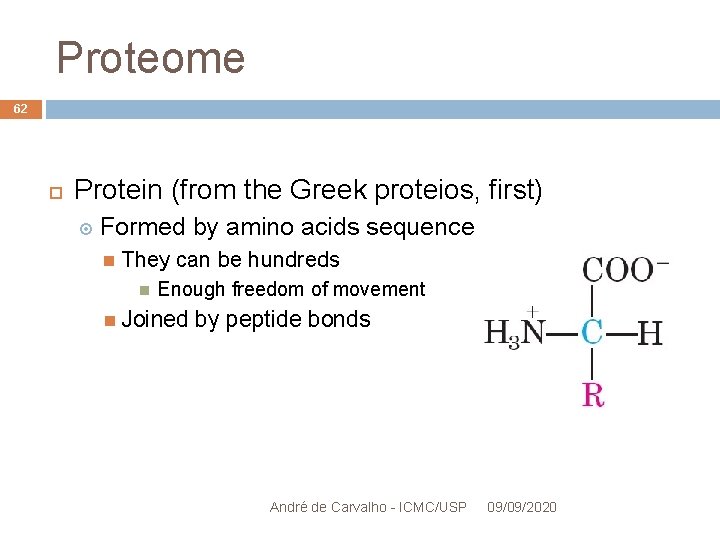 Proteome 62 Protein (from the Greek proteios, first) Formed by amino acids sequence They