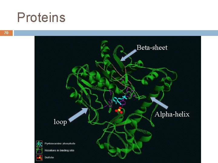 Proteins 70 Beta-sheet Alpha-helix loop André de Carvalho - ICMC/USP 09/09/2020 