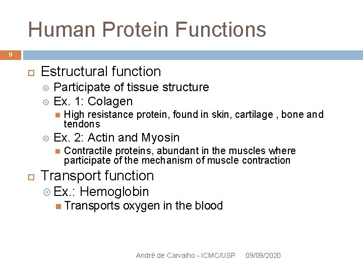 Human Protein Functions 9 Estructural function Participate of tissue structure Ex. 1: Colagen Ex.