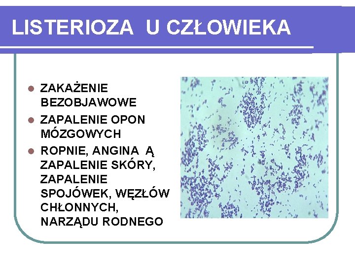 LISTERIOZA U CZŁOWIEKA ZAKAŻENIE BEZOBJAWOWE l ZAPALENIE OPON MÓZGOWYCH l ROPNIE, ANGINA Ą ZAPALENIE