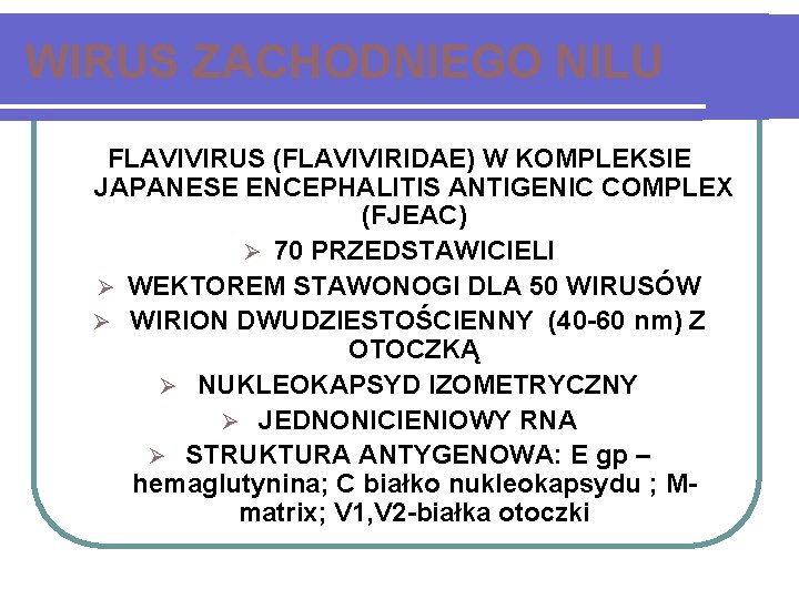 WIRUS ZACHODNIEGO NILU FLAVIVIRUS (FLAVIVIRIDAE) W KOMPLEKSIE JAPANESE ENCEPHALITIS ANTIGENIC COMPLEX (FJEAC) Ø 70